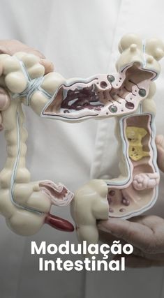 Modulacao Intestinal